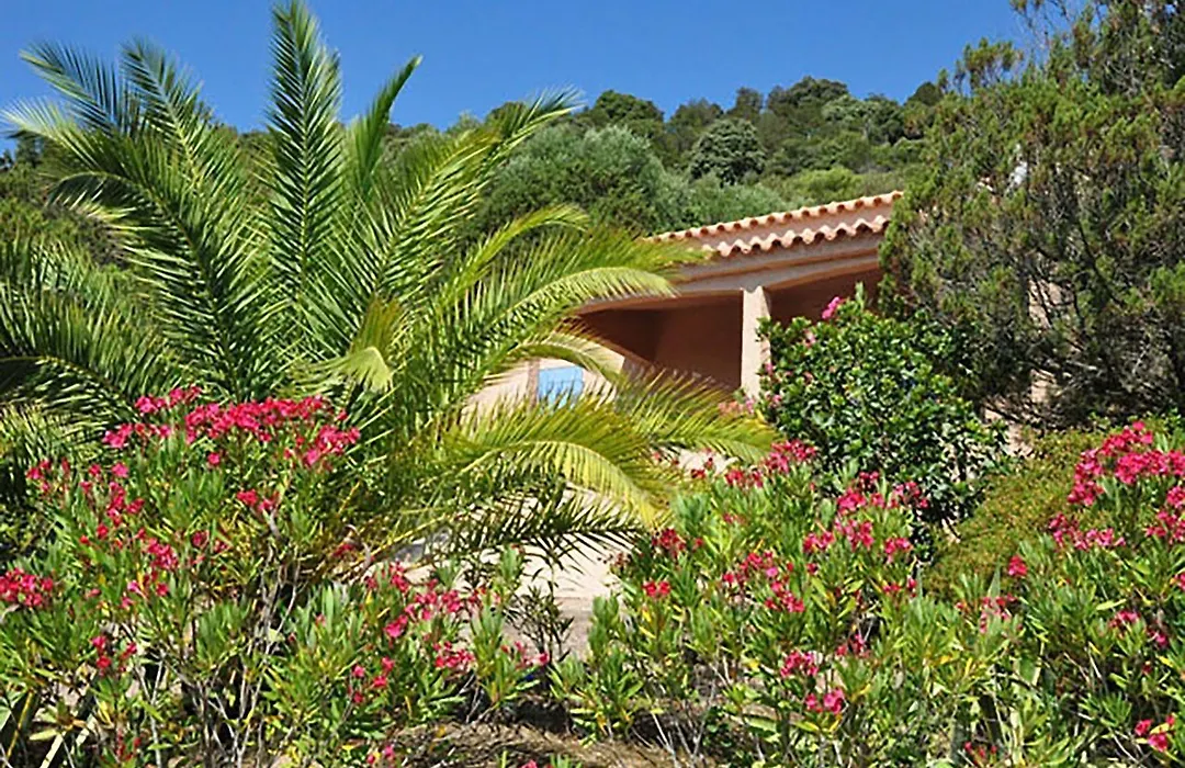 Residence U Latonu - Palombaggia-1