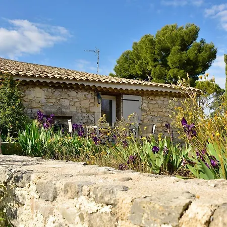 Domaine Du Mas Foucray-2