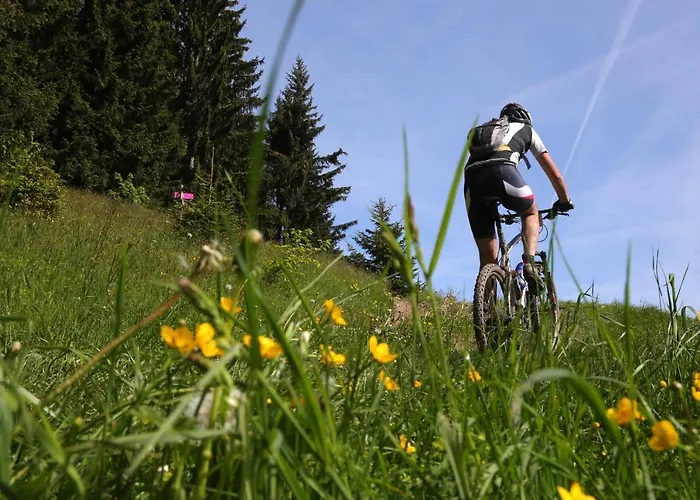 Les Cristaux Bed and Breakfast Saint-Gervais-les-Bains