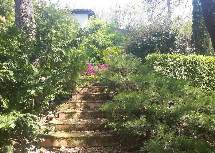 Bed and Breakfast "Le Tresor D' Isidor" Castres Tarn à Saix 