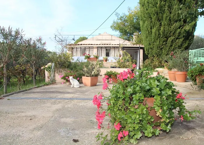 Bed and Breakfast le cabanon de l'olivette à Istres