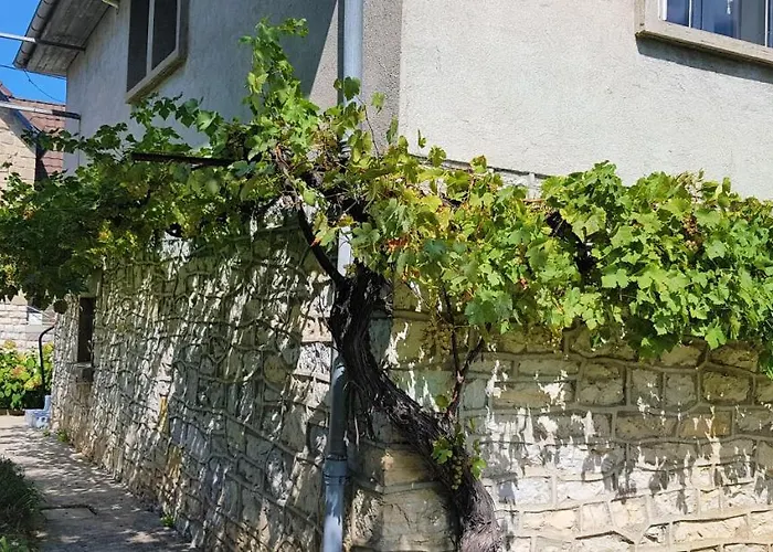 Villa Wifi Clim Garage Jardin Bbq Cosy House à Brive-la-Gaillarde