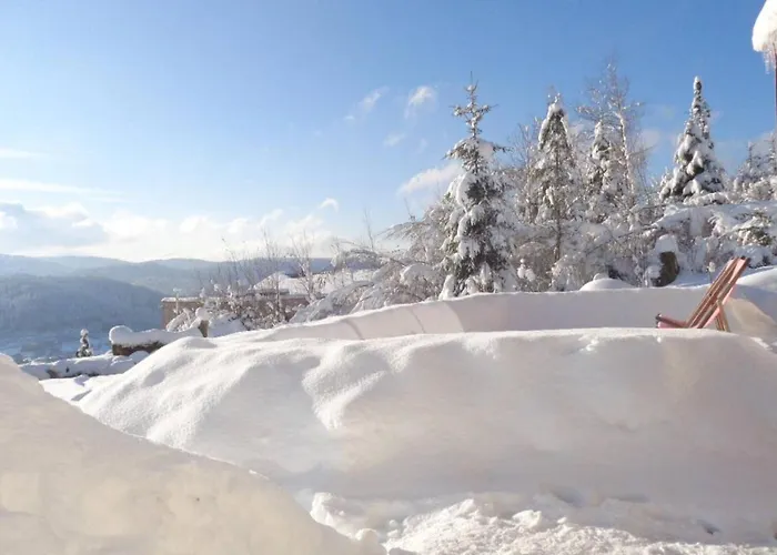 Laptitevosgienne Vue Lac A Gerardmer !