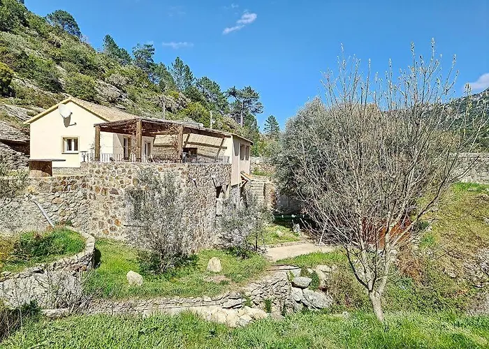 Venaco (Corsica) Hotels