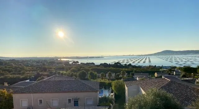 Villa Avec Piscine, Spa A Debordement Vue Exceptionnelle Sur L'Etang De Thau Bouzigues avec Piscine