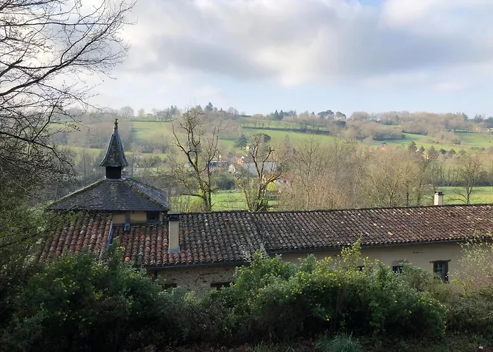 Villa Mille Fleurs à Castres  avec Piscine