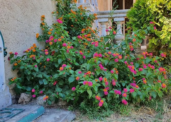 La Casa De Margarita Y Sisco, Villa Avec Piscine Carcassonne avec Piscine