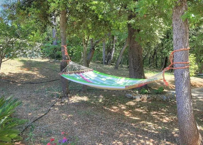 Villa Bois Doré Valbonne avec Piscine