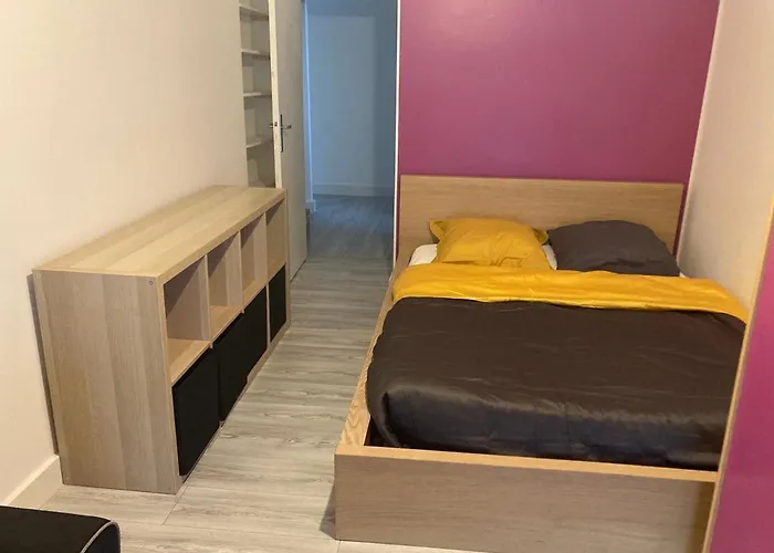Chambres Chez L'Habitante Hermes A Blagnac