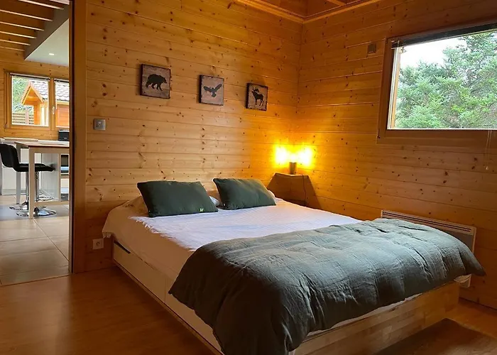 Le Chalet de la Devinière, bain nordique extérieur chauffé Xonrupt-Longemer avec Piscine