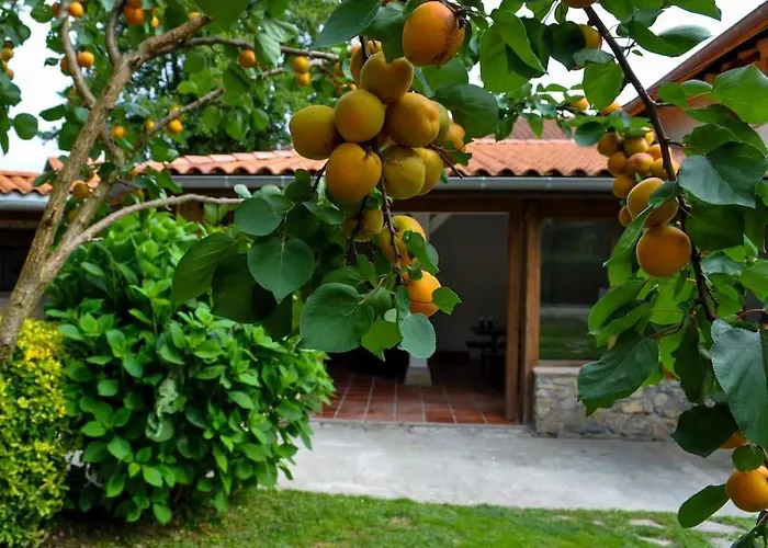 Maison Individuelle 135M2 Au Calme Sans Vis A Vis Hendaye Privée