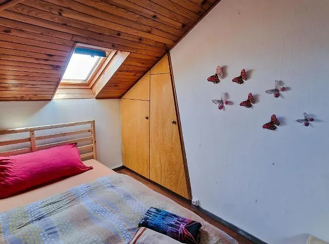Comfortable Room 4 Minutes Walk To Basel Shared Apartment Saint-Louis 