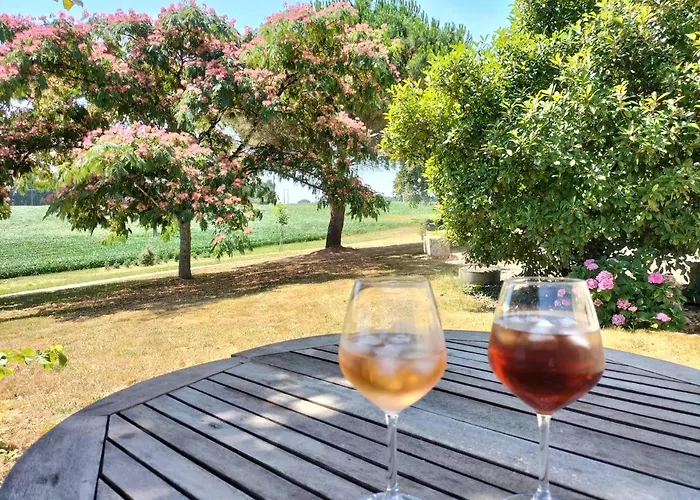 Villa le Pigeonnier gersois à Condom Privée