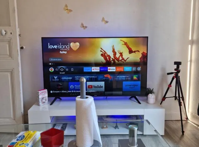 Chambre Privee Dans Un Appartement Nice