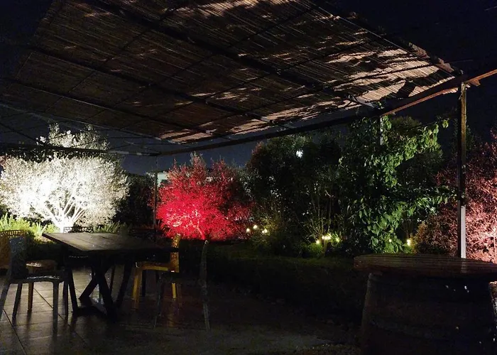 A 2 Pas Des Vignes, Hebergements Et Spa, Maison Numero 6, A Chateauneuf Du Pape avec Piscine
