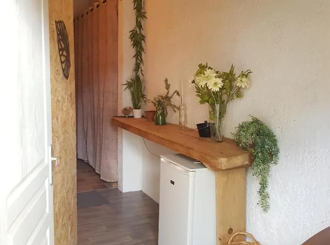 Bed and breakfast Au Petit Nid De Sanguinet