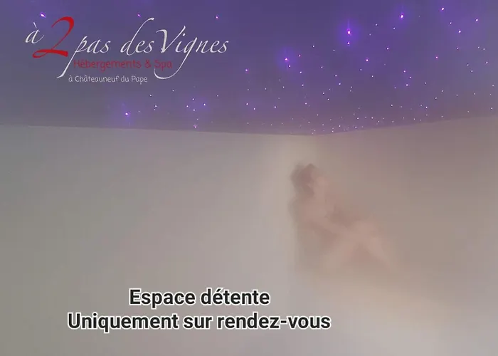 A 2 Pas Des Vignes, Hebergements Et Spa, Maison Numero 7 A Chateauneuf Du Pape avec Piscine