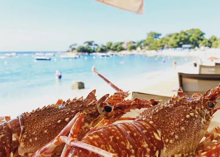 Huisdiervriendelijke hotels in Corsica