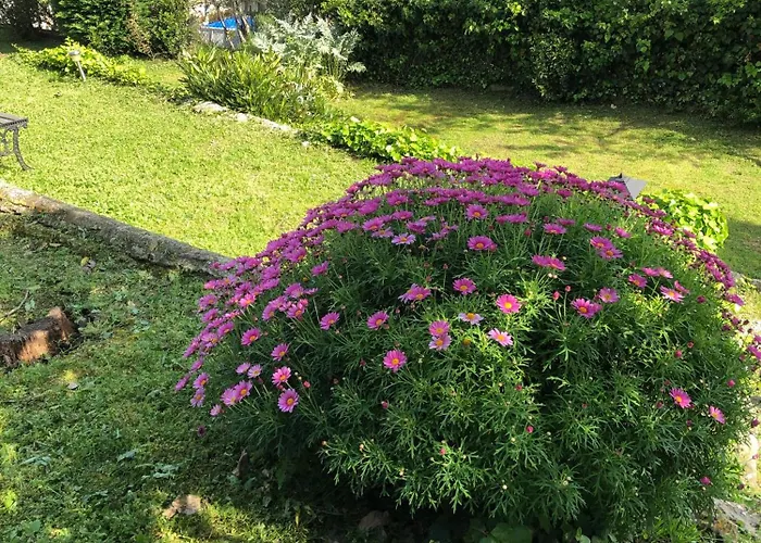 Bed & Breakfast Chambres D'Hotes Cottage Bellevue Cannes