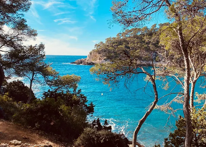 Lodge entre ciel et mer Saint-Cyr-sur-Mer Privée
