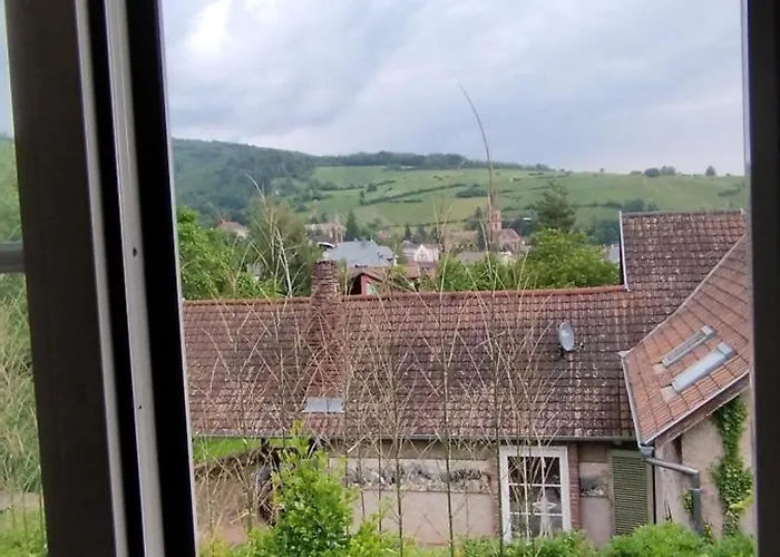 Hotel La Ferme Des Perles Noires à Ribeauvillé
