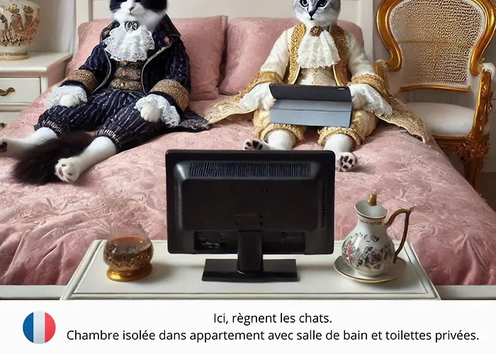 Bed and Breakfast Chez Ramsés et Richelieu à Pau