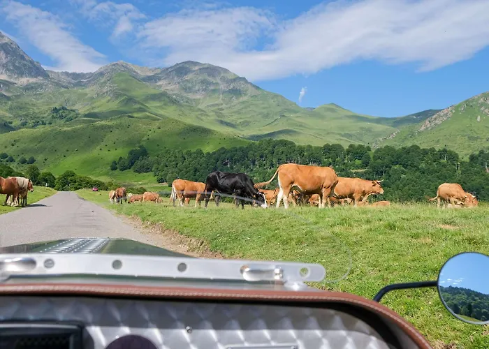 Hoteles en Saint-Lary-Soulan