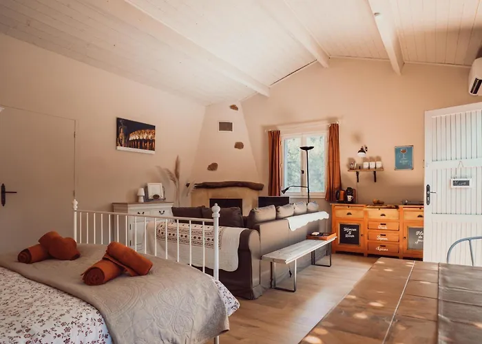 Petit Paradis Mazet Calvisson avec Piscine