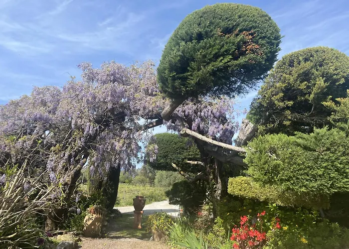 La Maison De Justine Grimaud