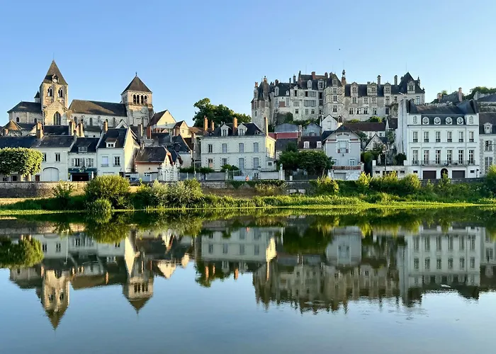Grand gite en rez-de-jardin Saint-Aignan 