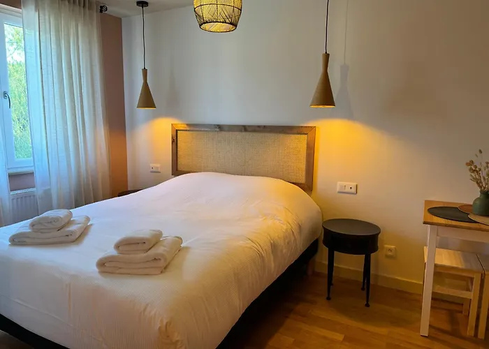 Sarralbe Hotels