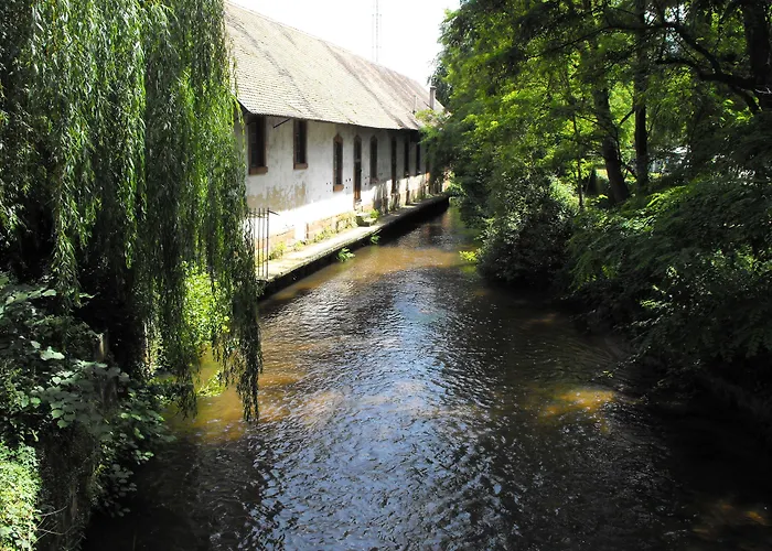 Hotel D'Alsace Wissembourg