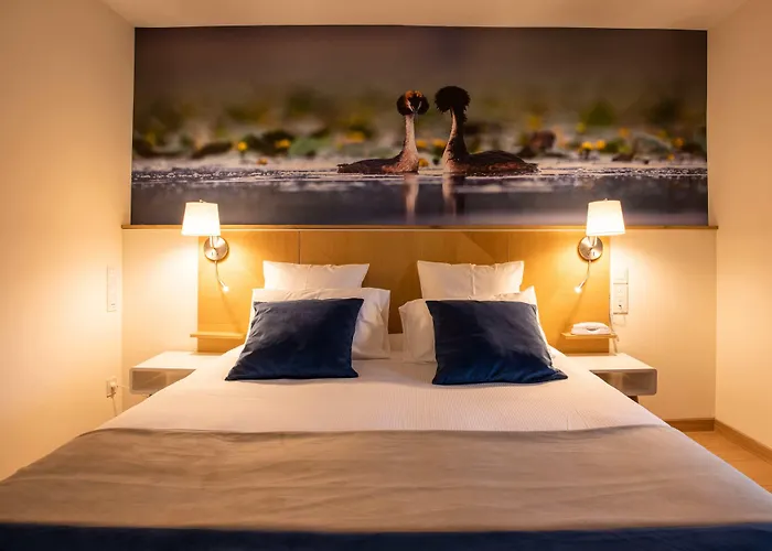 Lamotte-Beuvron Hotels