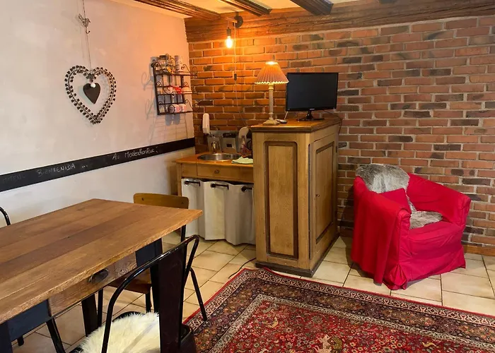 Gîte de caractère au calme , proche quartier historique, Au Merlenchanteur Schiltigheim