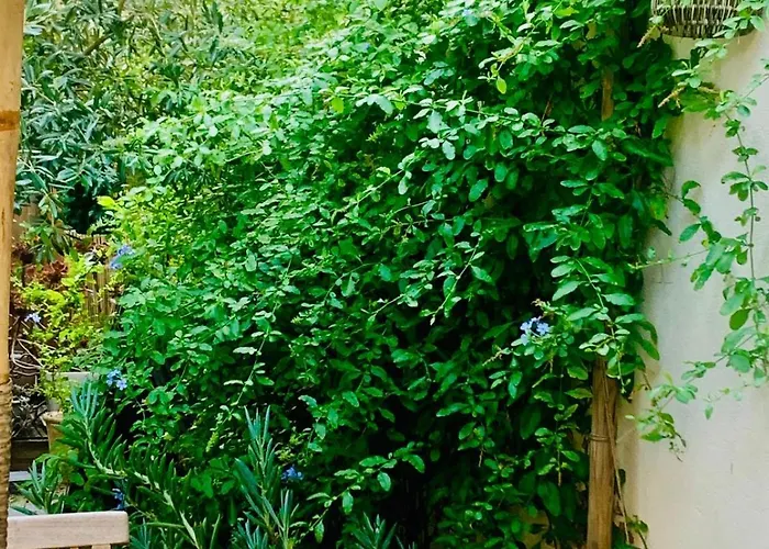 La Maison Narbonnaise Narbona