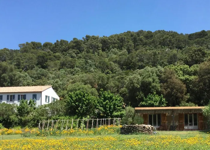 Port-Cros Hotels