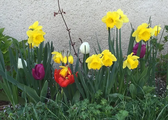 Les Colonnes De Chanteloup Amboise