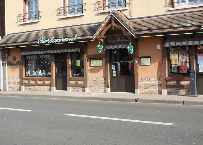 Hotel Le Lion D'Or Salbris