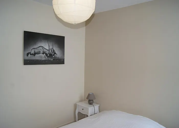 Chateau-Renault Hotels