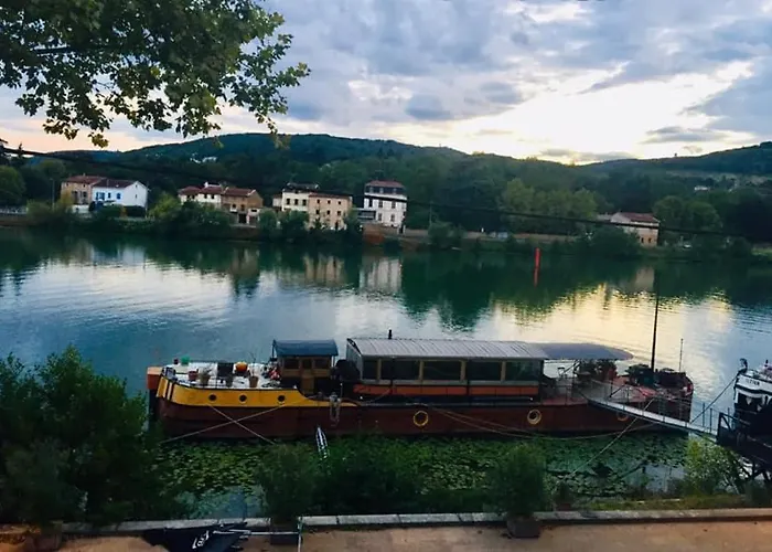 Neuville-sur-Saone Hotels